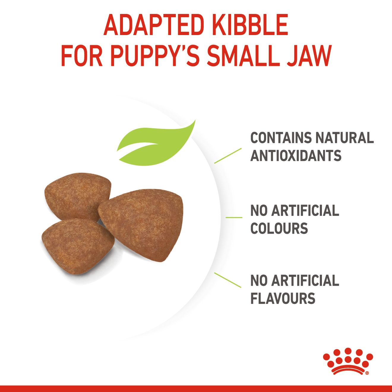 Royal Canin Mini Puppy Dry Dog Food 2kg & 4kg