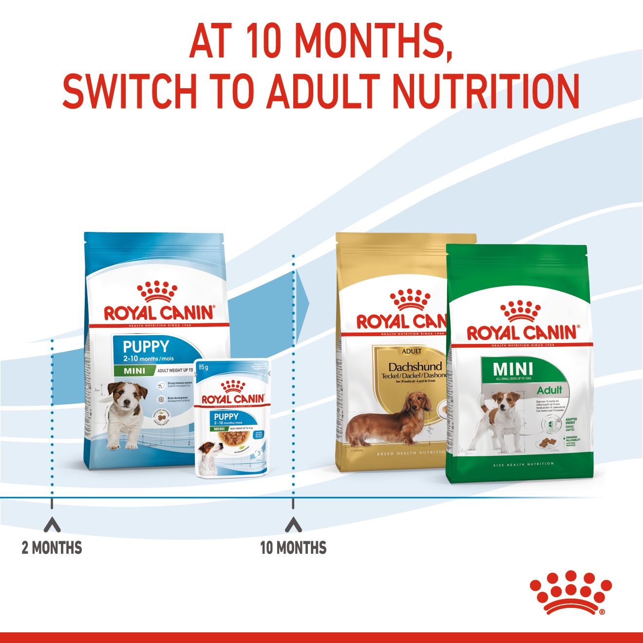 Royal Canin Mini Puppy Dry Dog Food 2kg & 4kg