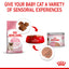 Royal Canin Mother & Babycat Ultra Soft Mousse Cat Wet Food 195g x 12