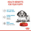 Royal Canin Medium Puppy Pouch Wet Dog Food 140g x 10