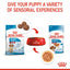 Royal Canin Medium Puppy Pouch Wet Dog Food 140g x 10