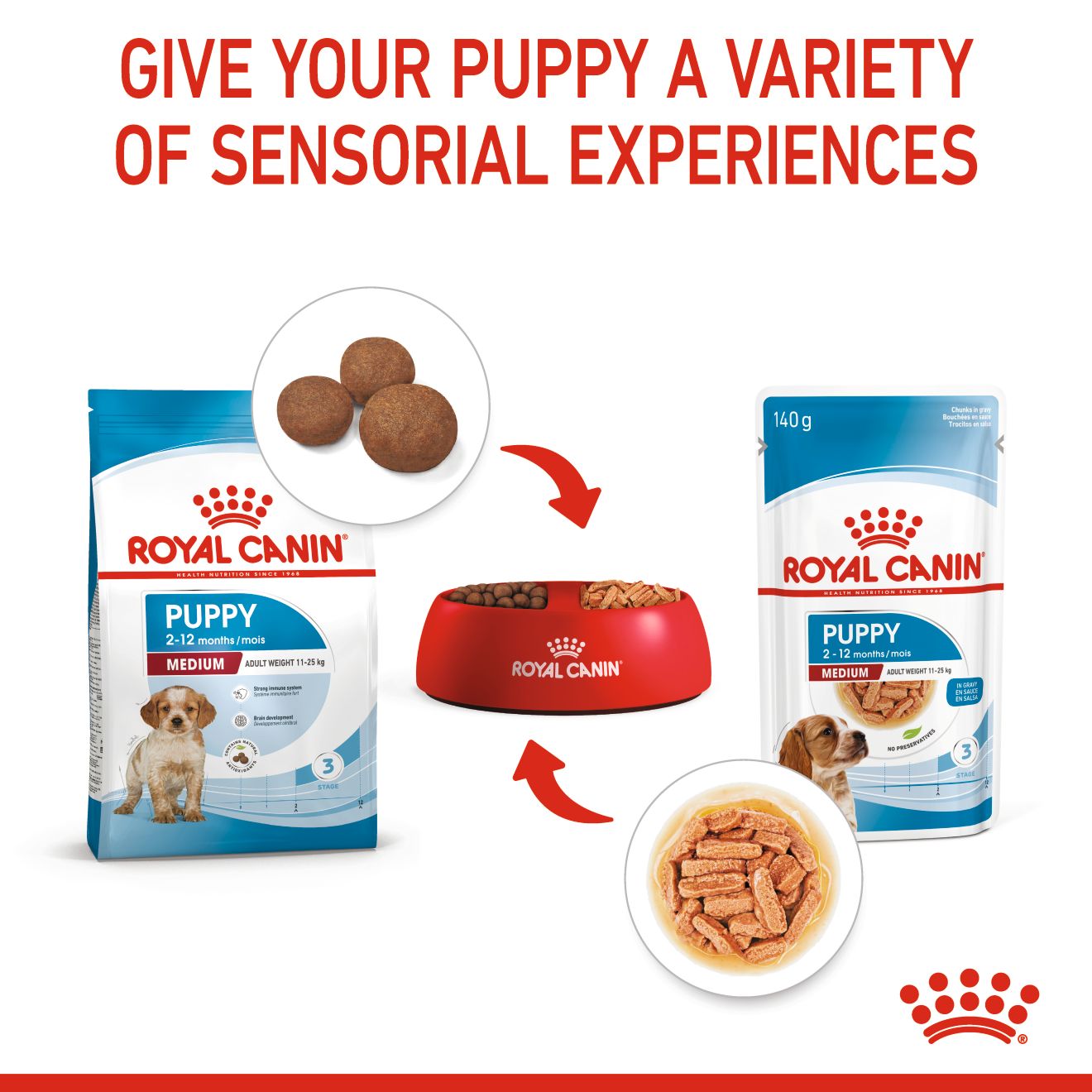 Royal Canin Medium Puppy Pouch Wet Dog Food 140g x 10
