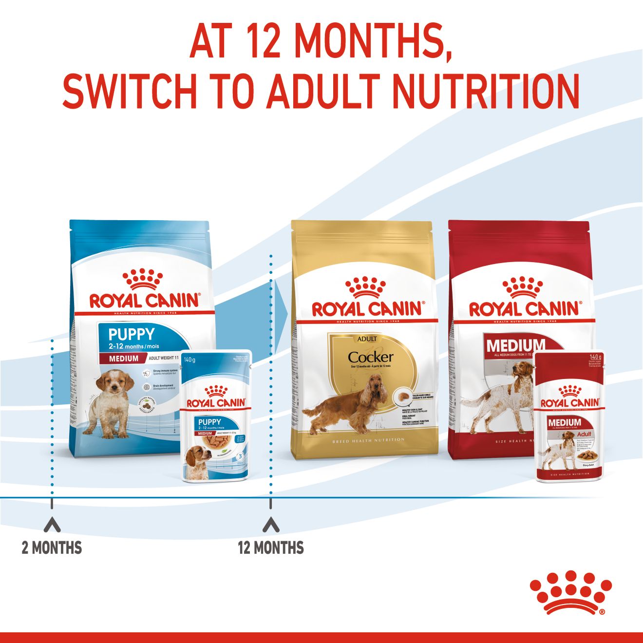 Royal Canin Medium Puppy Pouch Wet Dog Food 140g x 10