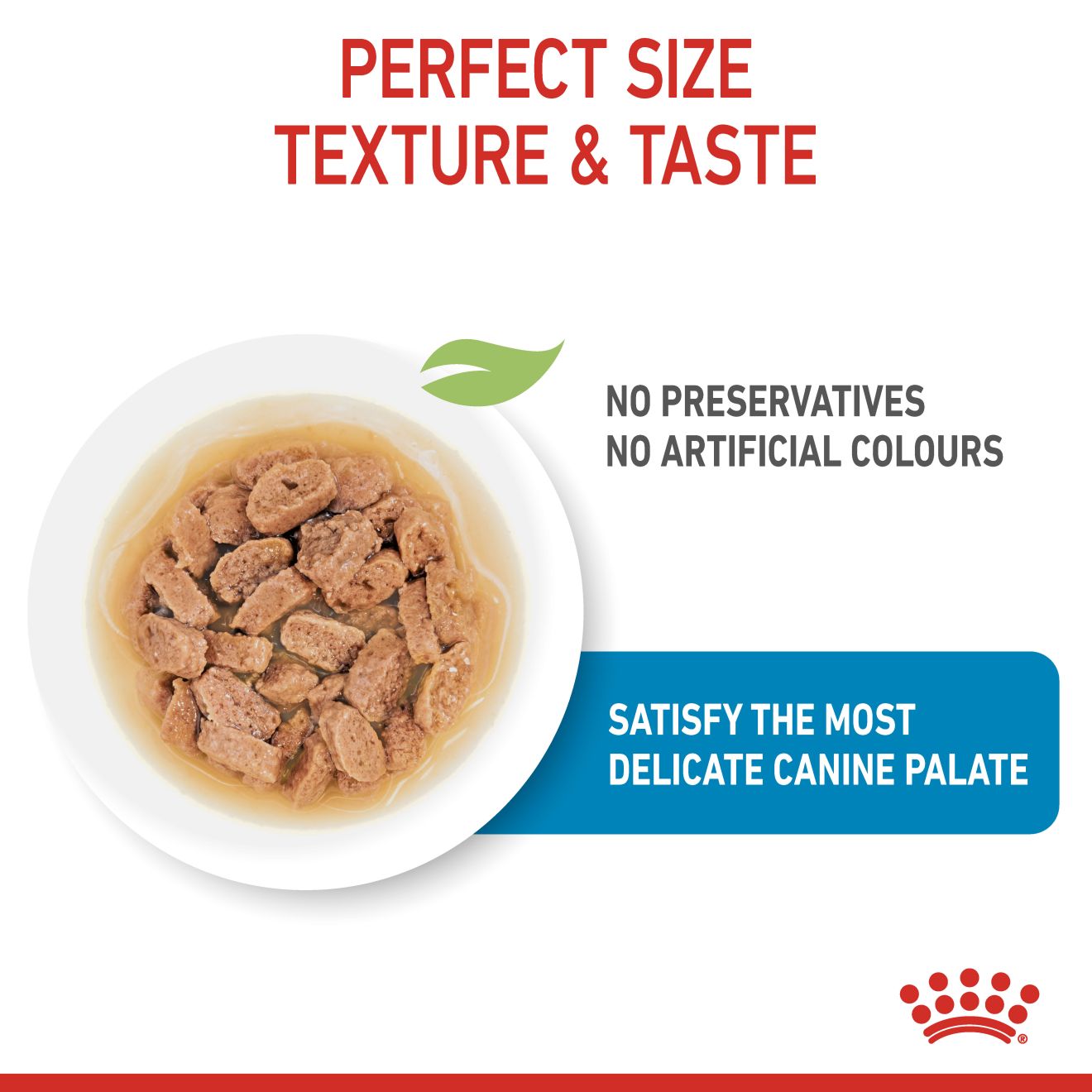 Royal Canin Mini Puppy Pouch Wet Dog Food 85g x 12