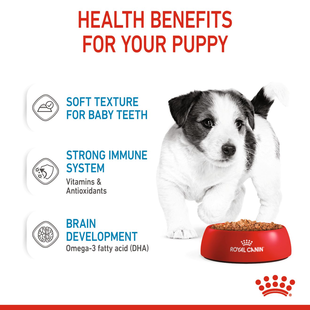 Royal Canin Mini Puppy Pouch Wet Dog Food 85g x 12