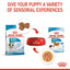 Royal Canin Mini Puppy Pouch Wet Dog Food 85g x 12