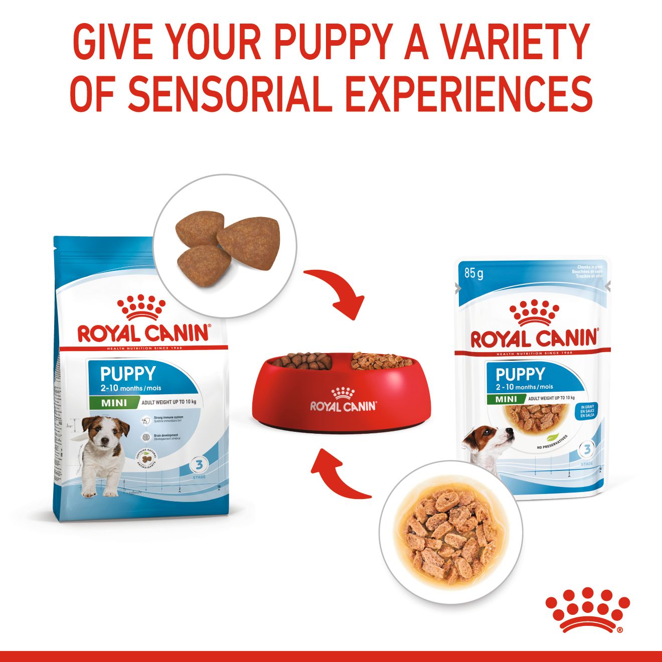 Royal Canin Mini Puppy Pouch Wet Dog Food 85g x 12