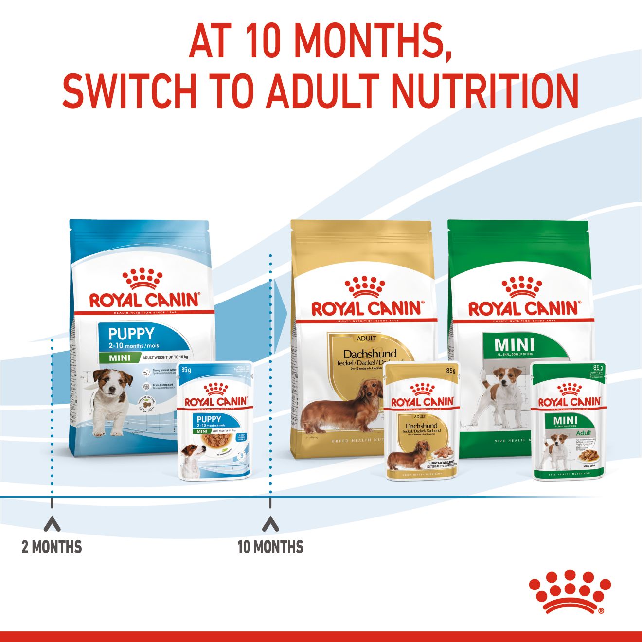 Royal Canin Mini Puppy Pouch Wet Dog Food 85g x 12