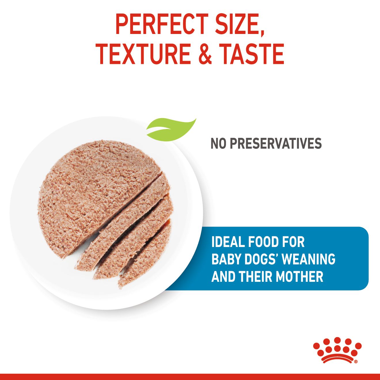 Royal Canin Mother & Babydog Starter Ultra Soft Mousse Canned Wet Food 195g x 12