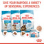 Royal Canin Mother & Babydog Starter Ultra Soft Mousse Canned Wet Food 195g x 12