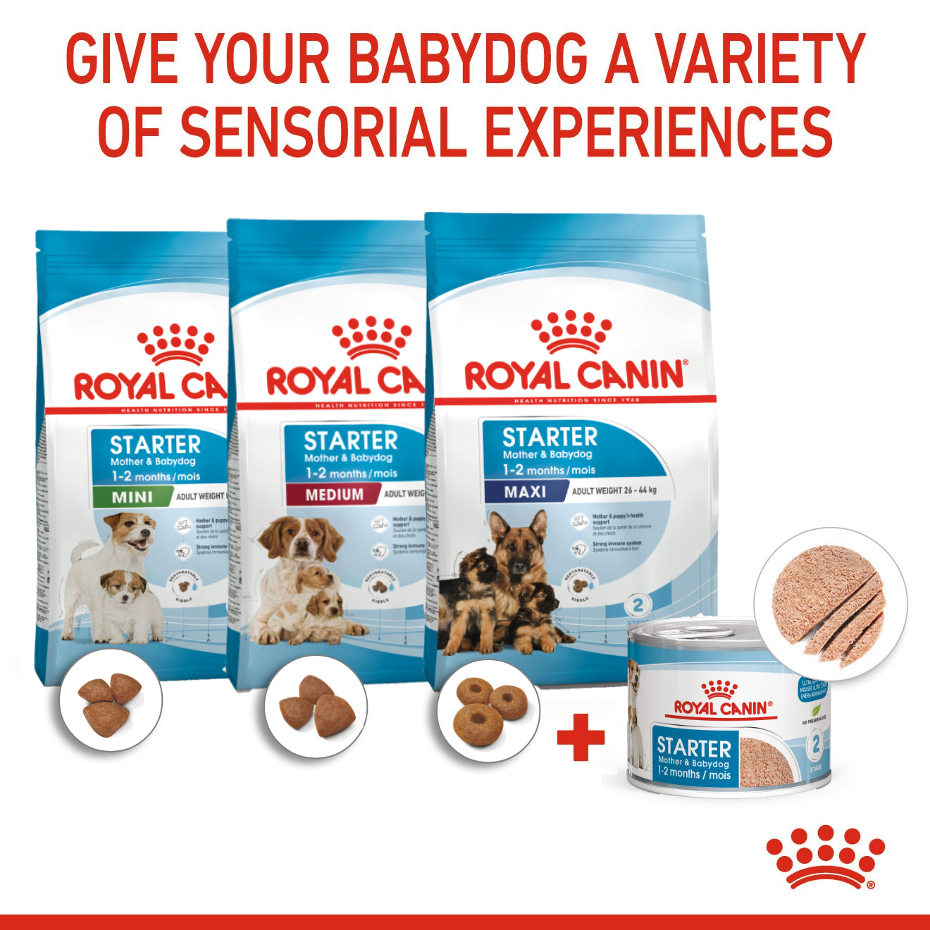 Royal Canin Mother & Babydog Starter Ultra Soft Mousse Canned Wet Food 195g x 12