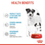 Royal Canin Mother & Babydog Starter Ultra Soft Mousse Canned Wet Food 195g x 12