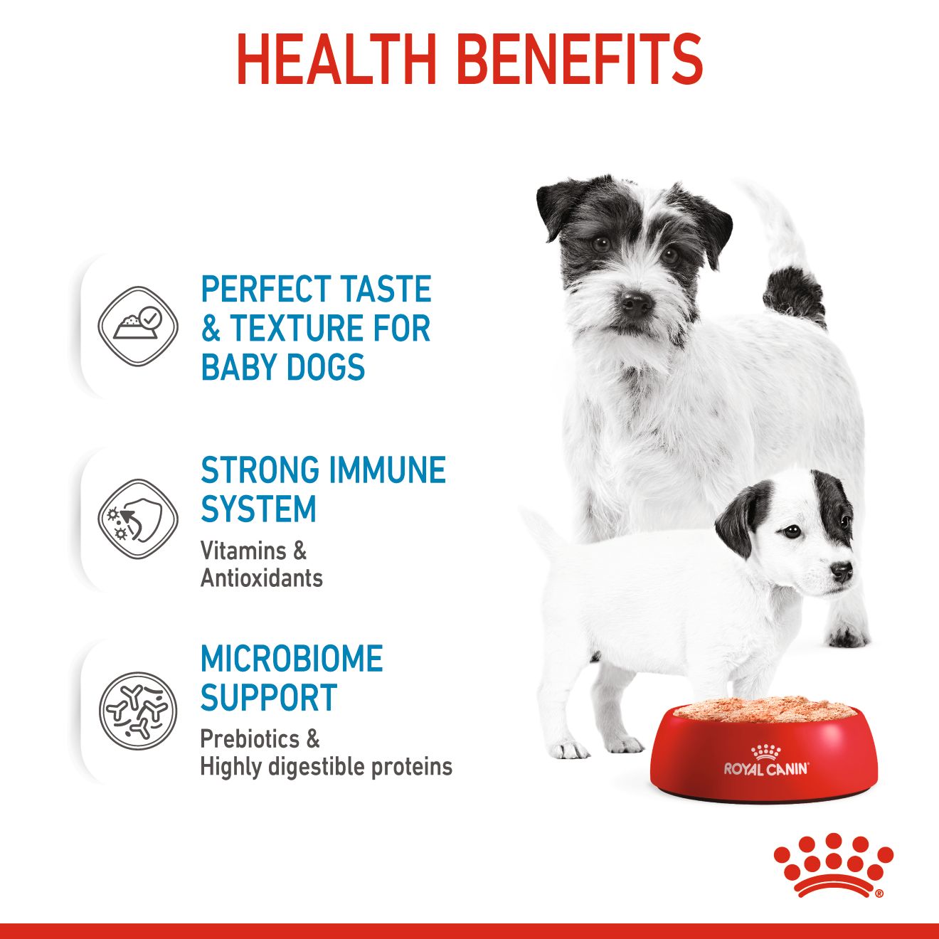 Royal Canin Mother & Babydog Starter Ultra Soft Mousse Canned Wet Food 195g x 12