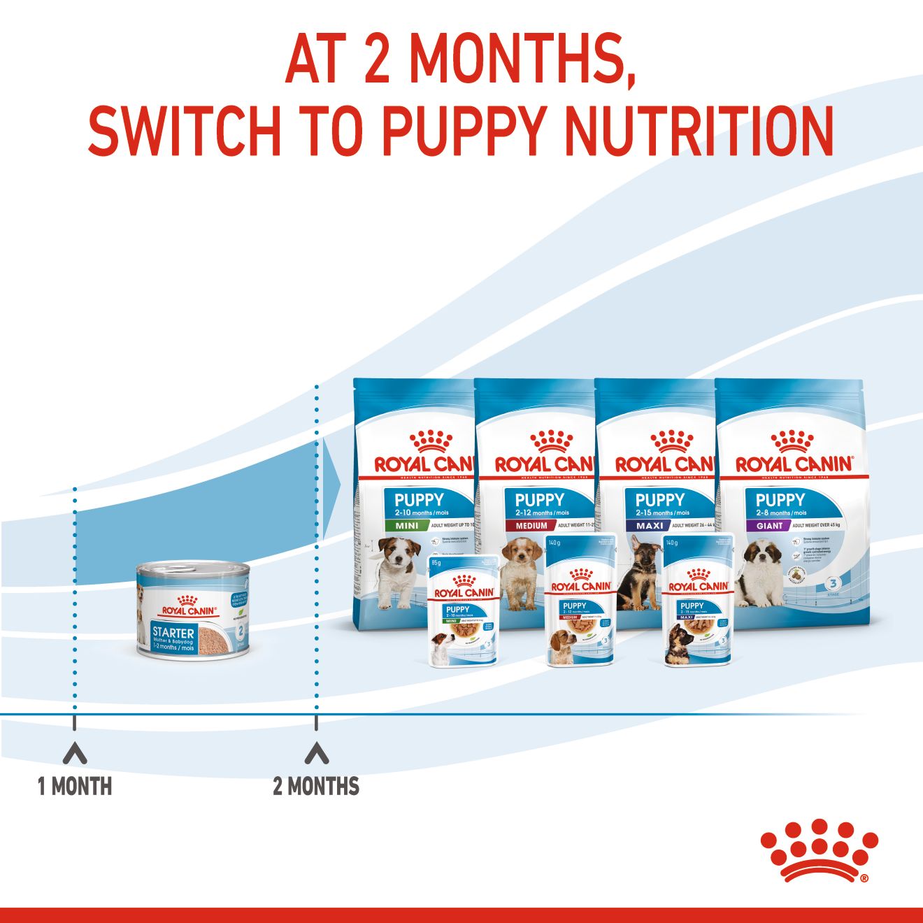 Royal Canin Mother & Babydog Starter Ultra Soft Mousse Canned Wet Food 195g x 12