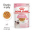 Royal Canin Feline Nutrition Kitten Jelly Pouch Cat Food 85g x 12