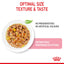 Royal Canin Feline Nutrition Kitten Jelly Pouch Cat Food 85g x 12