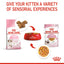 Royal Canin Feline Nutrition Kitten Jelly Pouch Cat Food 85g x 12