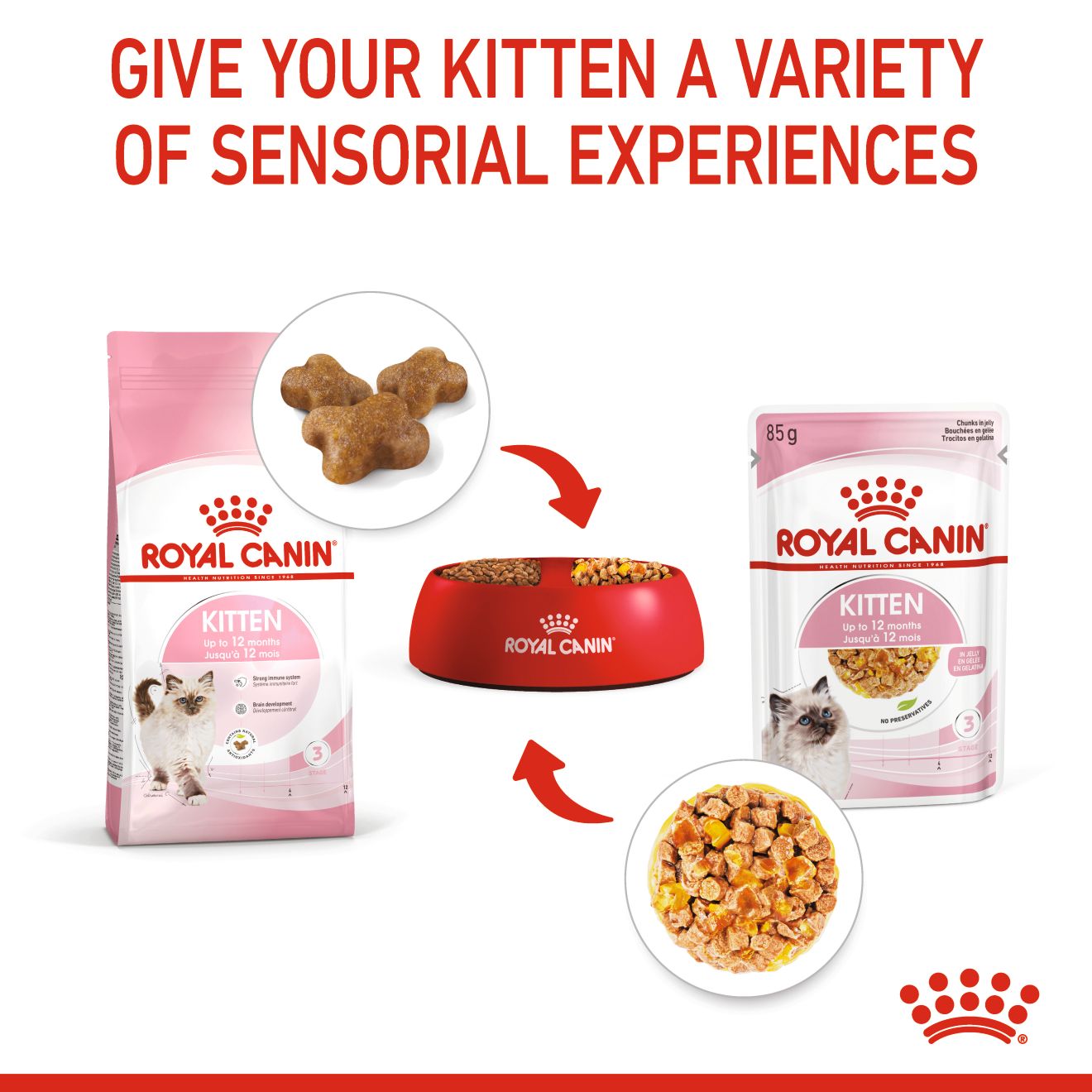 Royal Canin Feline Nutrition Kitten Jelly Pouch Cat Food 85g x 12
