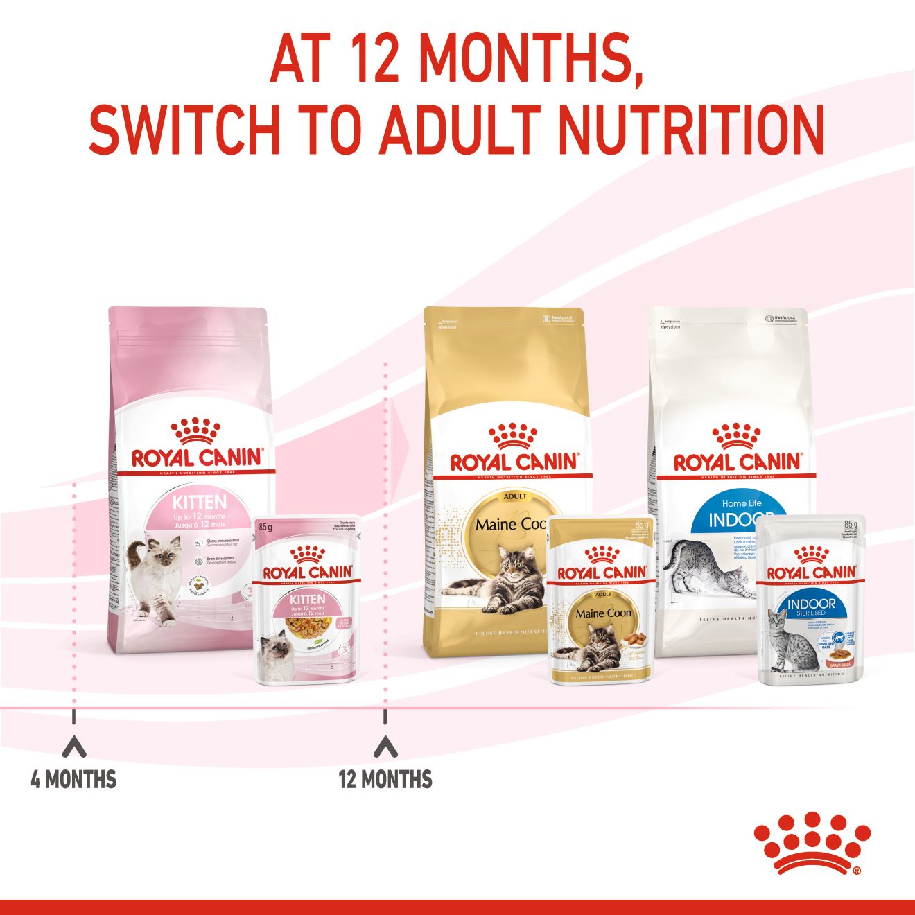 Royal Canin Feline Nutrition Kitten Jelly Pouch Cat Food 85g x 12
