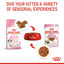 Royal Canin Feline Nutrition Kitten Gravy Pouch Cat Food 85g x 12
