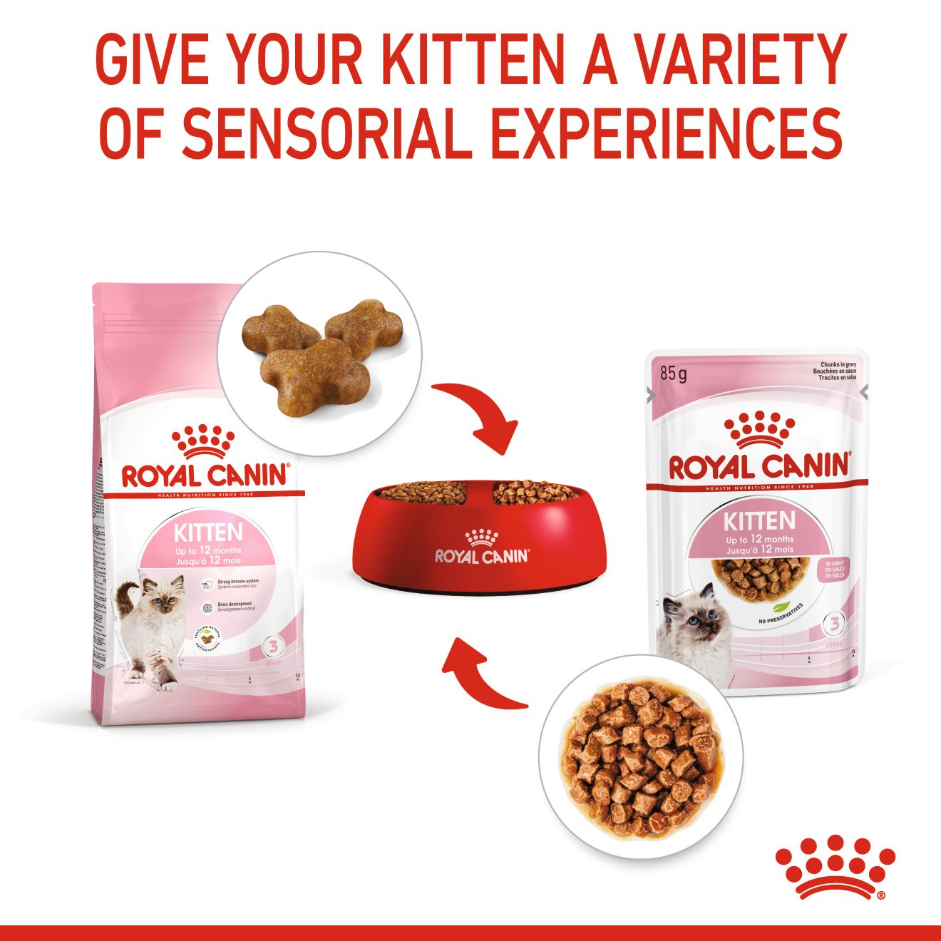 Royal Canin Feline Nutrition Kitten Gravy Pouch Cat Food 85g x 12