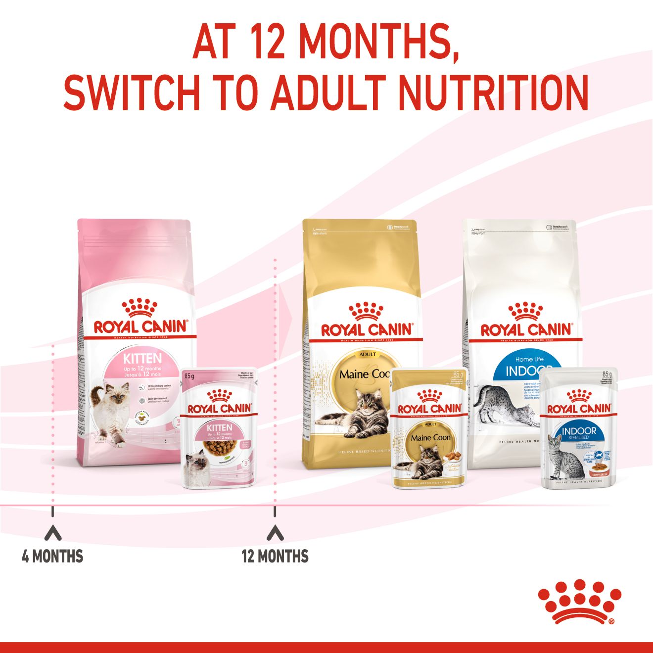 Royal Canin Feline Nutrition Kitten Gravy Pouch Cat Food 85g x 12