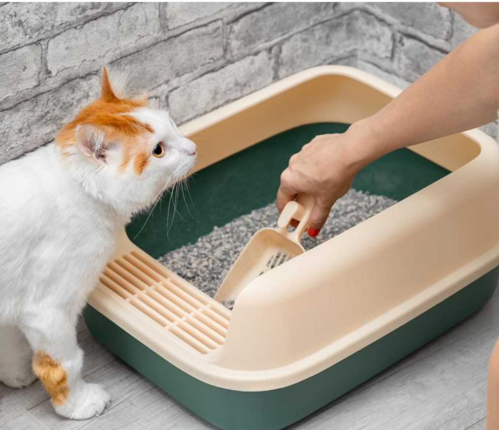 💥 CHEAP DEAL 💥 QQ Kit Eco Paper Cat Litter 🐱 Green Tea + Activated Carbon | 75% Lighter, Dust-Free, Strong Odor Control!
