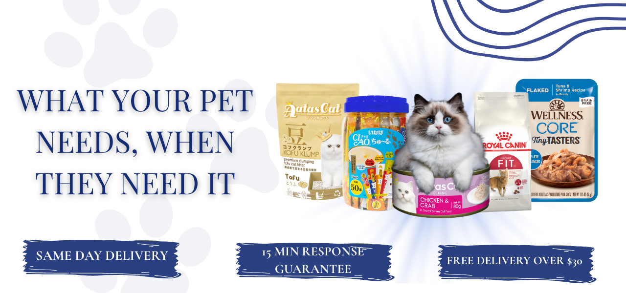pet supplies same day delivery