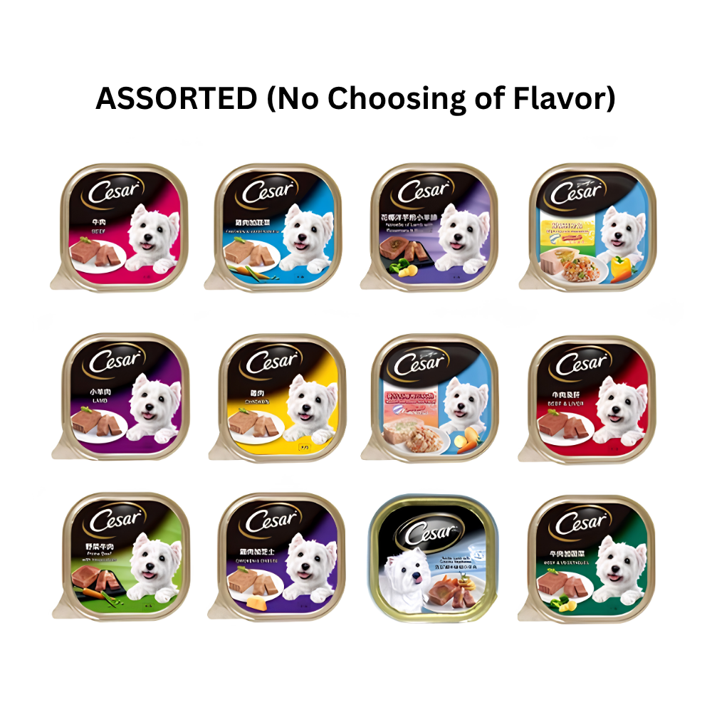 💥 Cesar Dog Food Wet 100g | Mix & Match 11 Flavours | Bundle of 24 🐶 Save More, Feed Better!