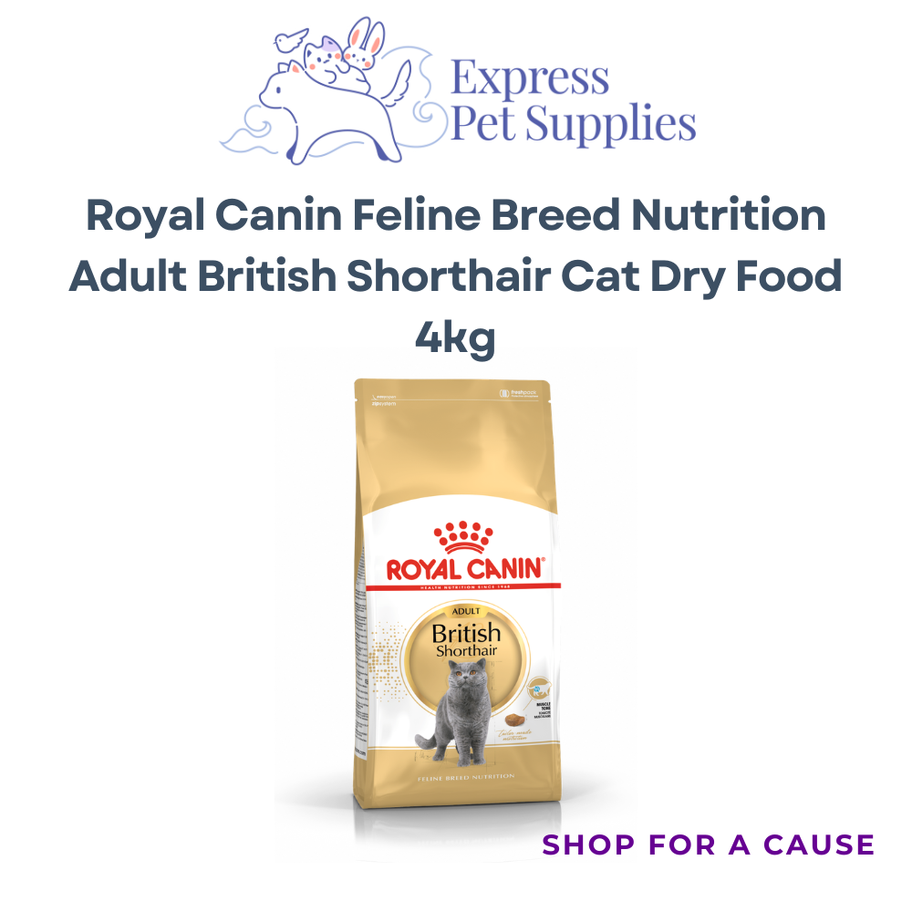 Royal Canin Feline Nutrition British Shorthair Adult Dry Cat Food 4kg