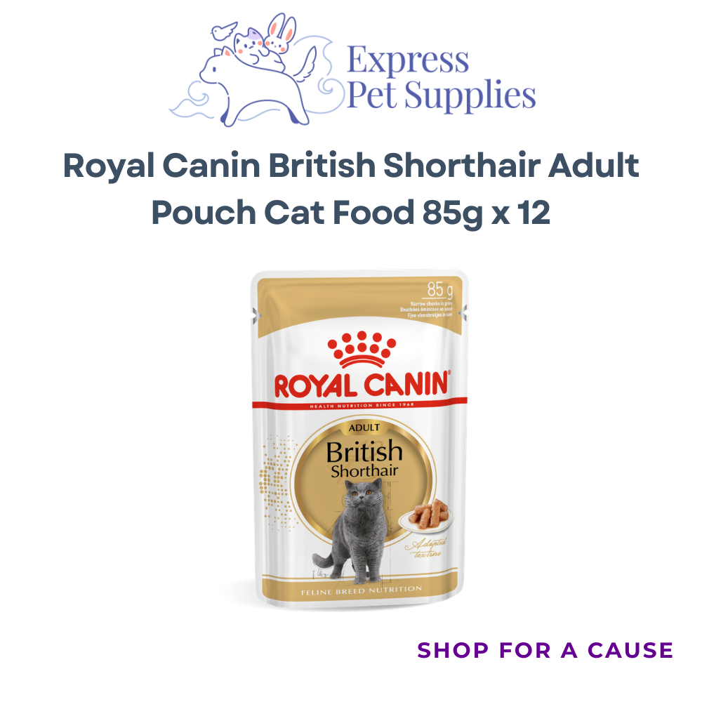 Royal Canin British Shorthair Adult Pouch Cat Food 85g x 12