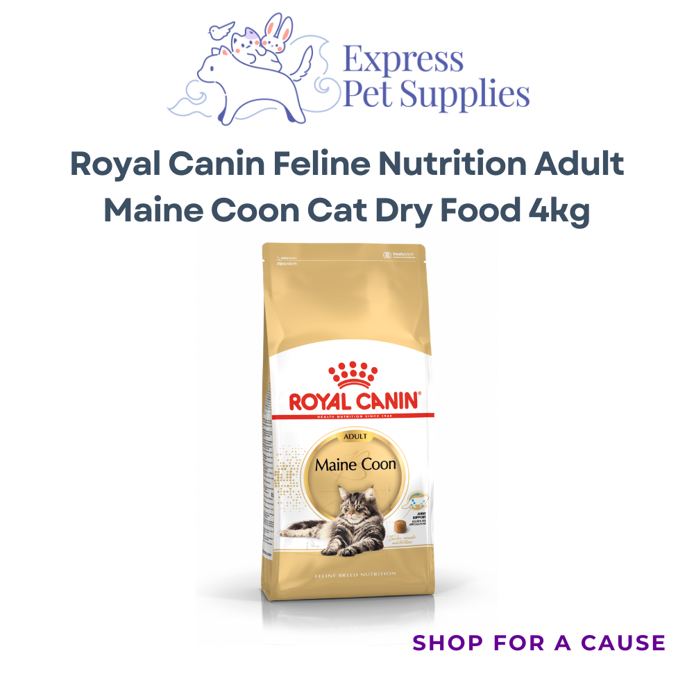 Royal Canin Nutrition Maine Coon Adult Dry Cat Food 4kg