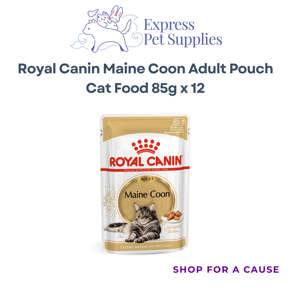 Royal Canin Feline Maine Coon Adult Pouch Cat Food 85g x 12