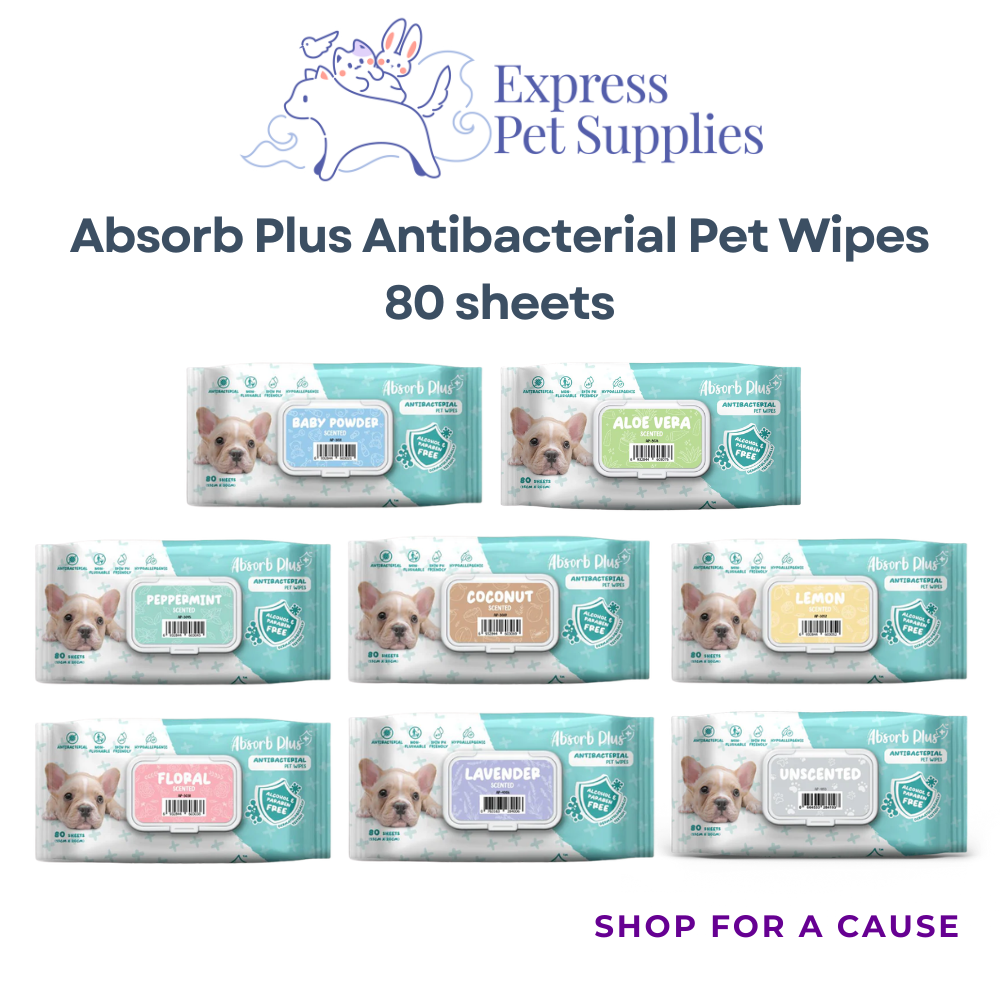 Absorb Plus Antibacterial Pet Wipes 80 sheets