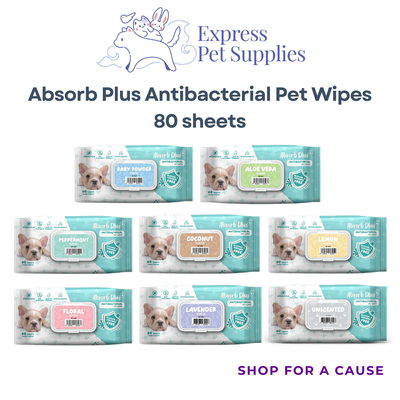 Absorb Plus Antibacterial Pet Wipes 80 sheets