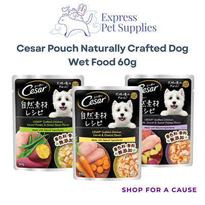 Cesar Pouch Naturally Crafted Dog Wet Food 60g