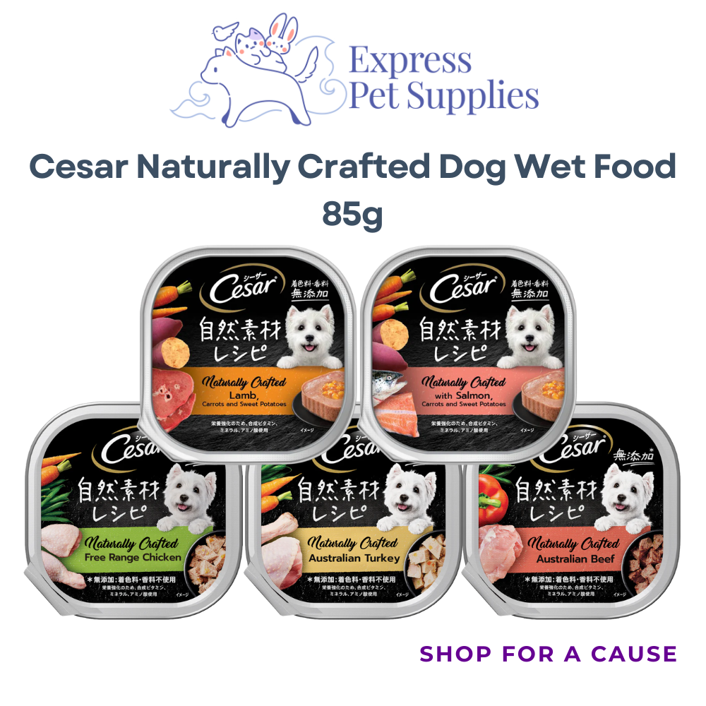 Cesar Naturally Crafted Dog Wet Food 85g
