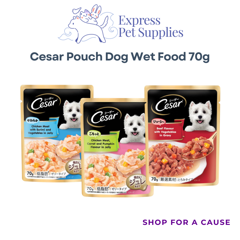 Cesar Pouch Dog Wet Food 70g
