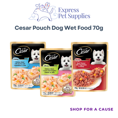 Cesar Pouch Dog Wet Food 70g