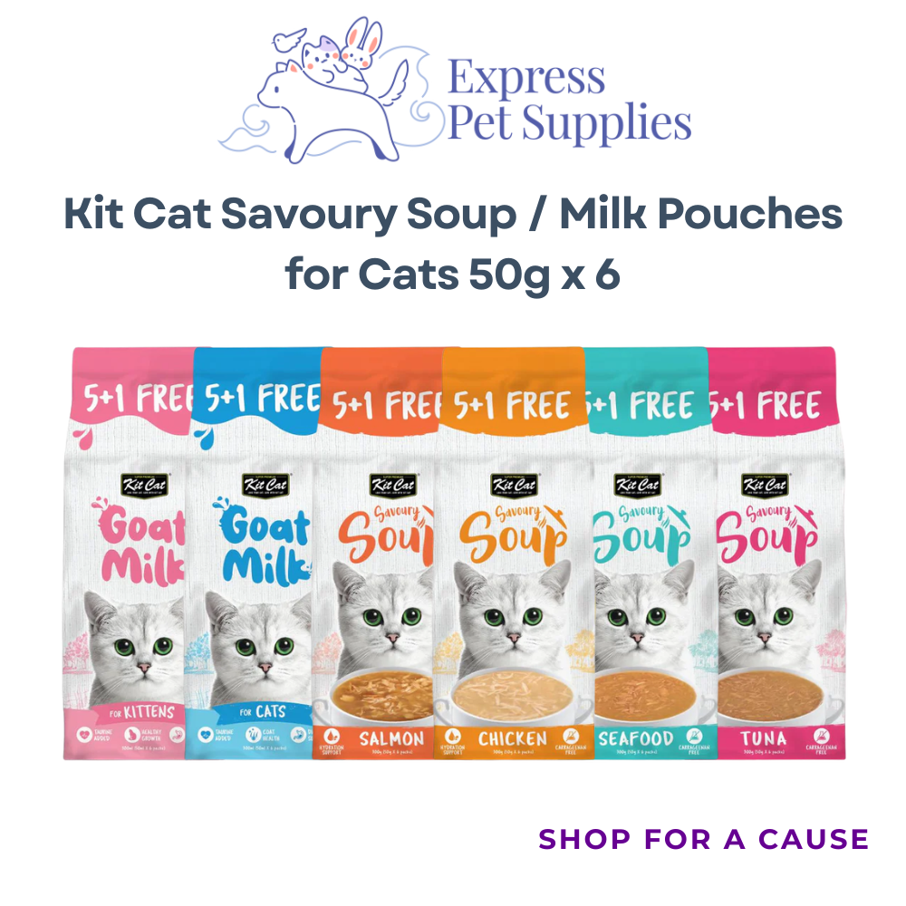 Kit Cat Savoury Soup / Milk Pouches for Cats 50g x 6