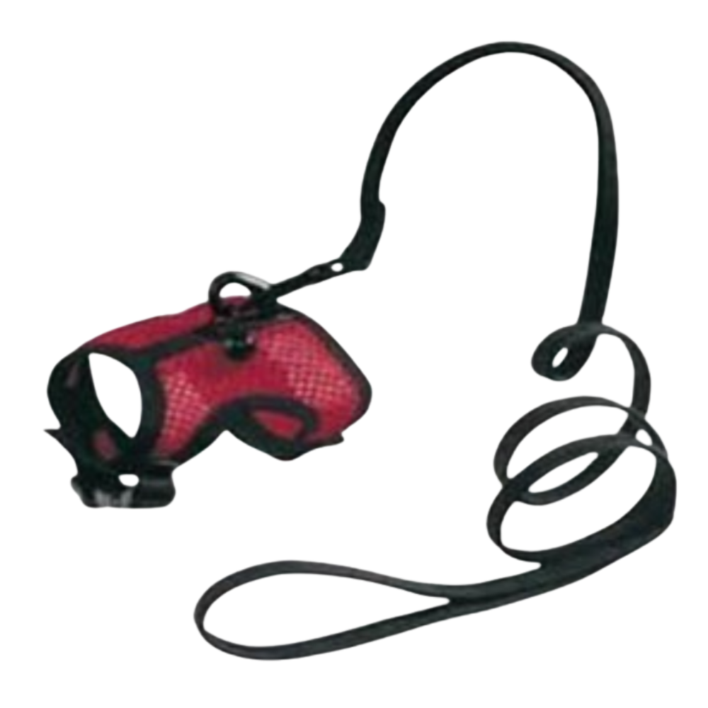 Ferplast -small animal Jogging Harness (S, M, L, XL)