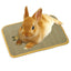 Marukan Relaxing Rabbits Grass Mat - Medium