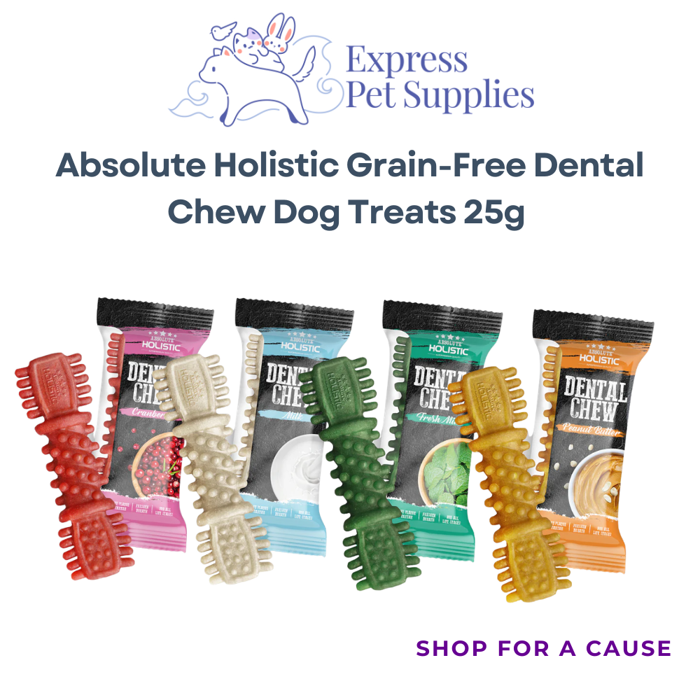 Absolute Holistic Grain-Free Dental Chew Dog Treats 25g