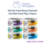 Kit Cat Tuna Gravy Canned Cat Wet Food 70g x 24pcs