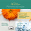 Nurture Pro AG Silver Pet Wipes