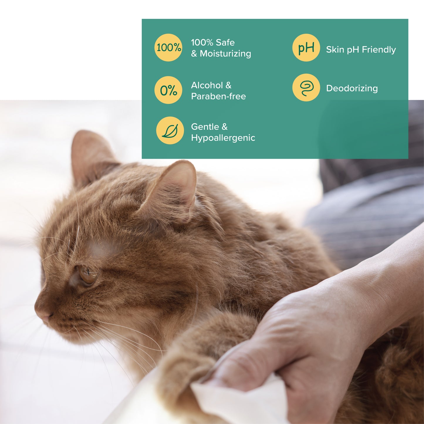 Nurture Pro AG Silver Pet Wipes