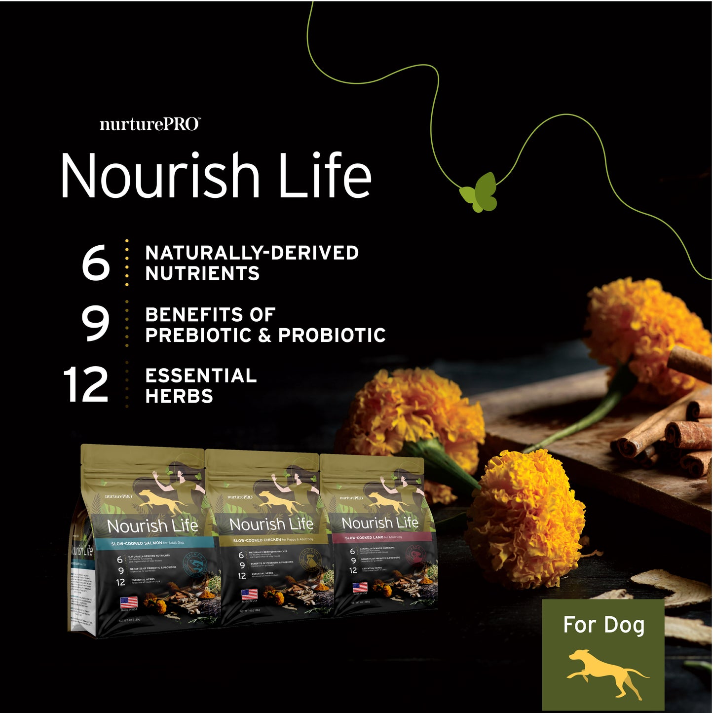 Nurture Pro Nourish Life Slow-cooked Dry Dog Food (Lamb)