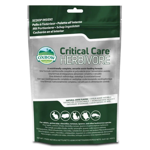 Oxbow Critical Care Small Animals Premium Recovery Food