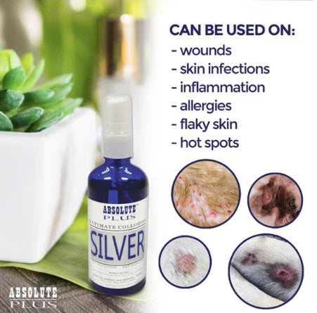 Absolute Plus Ultimate Colloidal Silver Spray 118ml
